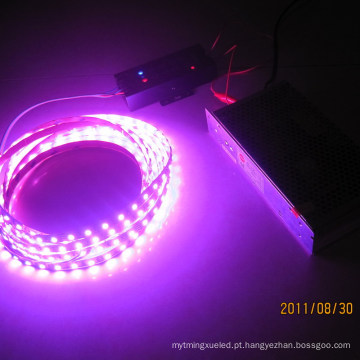 Cor rosa flexível tira luz LED